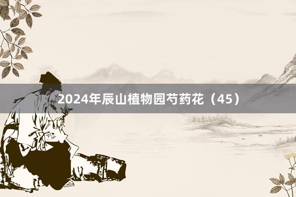 2024年辰山植物园芍药花（45）